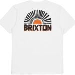 Maglietta sartoriale Brixton Fairview cotone minimale uomo-0