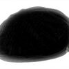 Brixton Fiddler cappellino baseball uomo stile casual