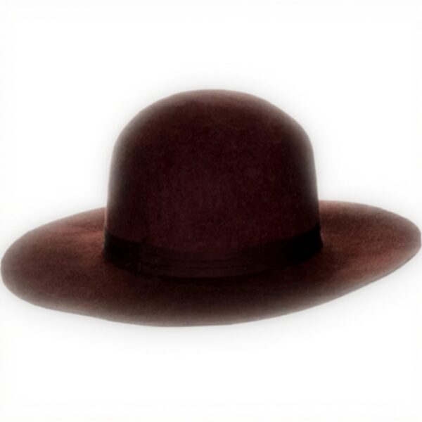 Cappello Fedora Brixton Magdalena Borgogna Uomo Accessori